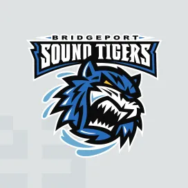 Bridgeport sound tigers